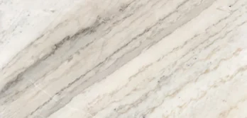 White marble sample with broad diagonal grey veins
