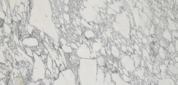 White marble sample with an interlocking network of grey veins